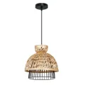 Подвесной светильник Arte Lamp WOODSTOCK A7070SP-1BK