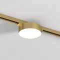 Светильник на шине Denkirs DK5762-SB