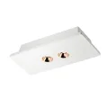 Потолочный светодиодный светильник Loft IT Architect OL1072-WG/2