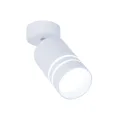 Накладной светильник Ambrella Light TN245