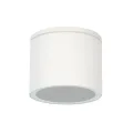 Уличный потолочный светильник Arte Lamp PIAUTOS A1913PF-1WH