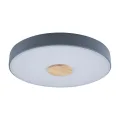 Накладной светильник LOFT IT 10003/24 Grey