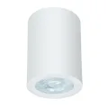 Точечный накладной светильник Arte Lamp TINO A1468PL-1WH