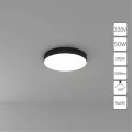Потолочный светильник Arte Lamp FADO A7350PL-1BK