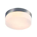 Накладной светильник ARTE Lamp A6047PL-2SS