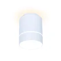 Накладной светильник Ambrella Light TN255
