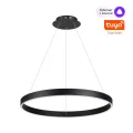 NOVOTECH 359450 OVER NT24 296 черный Светильник подвесной диммир. со сменой цв.темпер. (пульт ДУ/при