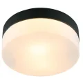 Накладной светильник ARTE Lamp A6047PL-1BK