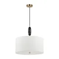Подвесной светильник Odeon Light 5424/5