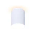 Накладной светильник Ambrella Light TN260