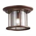 SL080.402.01 Светильник уличный потолочный ST-Luce Темный кофе/Прозрачный, Темный кофе E27 1*60W
