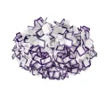 Накладной светильник LOFT IT 10231/780C Purple