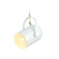 Подвесной светильник Ambrella Light TR8205
