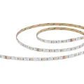ST019.318.20RGBW Светодиодная лента SMD5050  - 17.28W/M 3000K+RGB 300Lm Ra>90 IP20 L1 000xW10xH- 24V