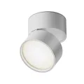 Потолочный светильник C024CL-L12W4K