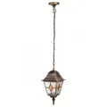 Подвесной уличный светильник ARTE Lamp A1541SO-1BN