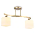 Накладной светильник Ambrella Light TR303119
