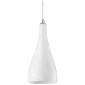 Подвесной светильник WERTMARK WE210.01.106