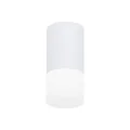Накладной светильник Ambrella Light TN231
