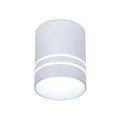 Накладной светильник Ambrella Light TN241