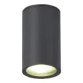 SL9010.712.01 Светильник уличный потолочный ST-Luce серый GU10 1*50W