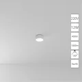 Потолочный светильник Arte Lamp FADO A6612PL-1WH