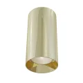 Потолочный светильник C010CL-01G