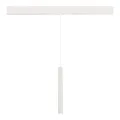 ST682.536.07 Магнитный трековый светильник Белый LED 17W 3000K Lm Ra90 36° IP20 D32xH307 48V