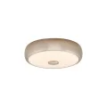 Накладной светильник Citilux CL706321
