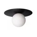 Накладной светильник LOFT IT 10120/250C Black