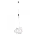 Подвесная люстра LOFT IT 10090 Clear