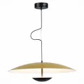 Подвесной светильник ST-Luce SL6502.213.01