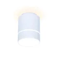 Накладной светильник Ambrella Light TN256