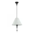 Подвесной светильник Odeon Light 4896/1
