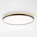 Накладной светильник Citilux CL749401