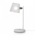 Настольная лампа FR5108TL-01CH
