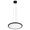 Подвесной светильник LOFT IT 10454/400P Black