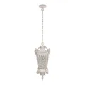 Подвесной уличный светильник LOFT IT 100019P WBG