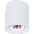 Накладной светильник ARTE Lamp A9262PL-1WH