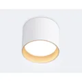 Накладной светильник Ambrella Light TN5304