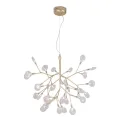 EVITA SP36 GOLD/TRANSPARENT
