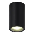 SL9010.412.01 Светильник уличный потолочный ST-Luce черный GU10 1*50W