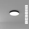 Потолочный светильник Arte Lamp FADO A6650PL-1BK