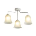 Накладная люстра Freya FR5448CL-03W