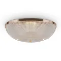 Потолочный светильник C046CL-06G