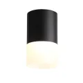 ST100.402.10 Светильник потолочный Черный LED 1*10W 3000K 780Lm Ra>80 120° D78xH135 170-240VV