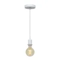 Подвесной светильник LOFT IT LOFT1700-PWH