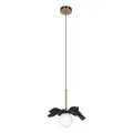 Подвесной светильник LOFT IT 10213/A Black