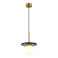 Подвесной светильник ST-Luce SL1191.343.01