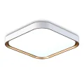 Накладной светильник Ambrella Light FZ1259